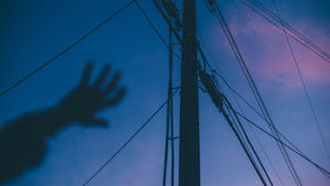 Meet your Posher, Maddie